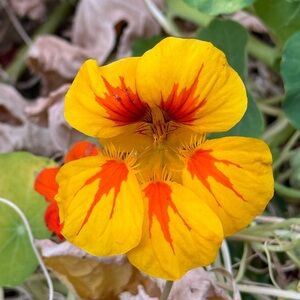 Meet your Posher, June